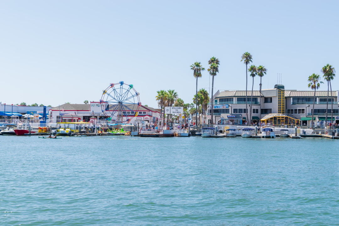 harbor cruise